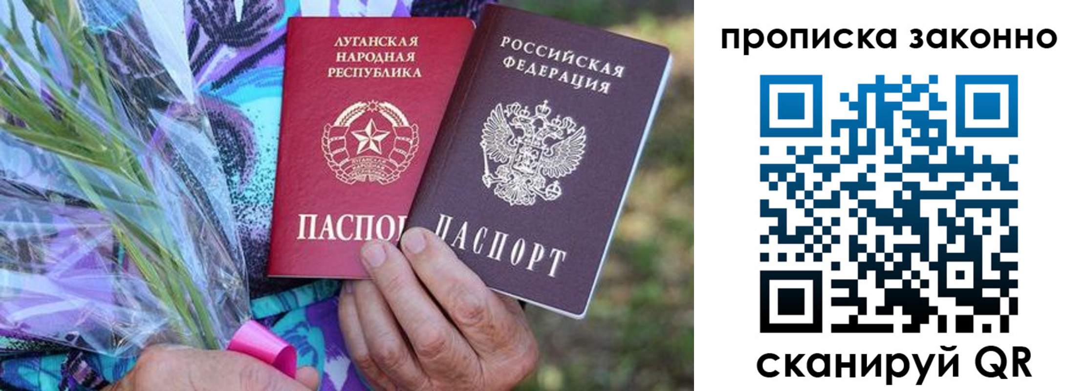 прописка для школы в Александровске-Сахалинском